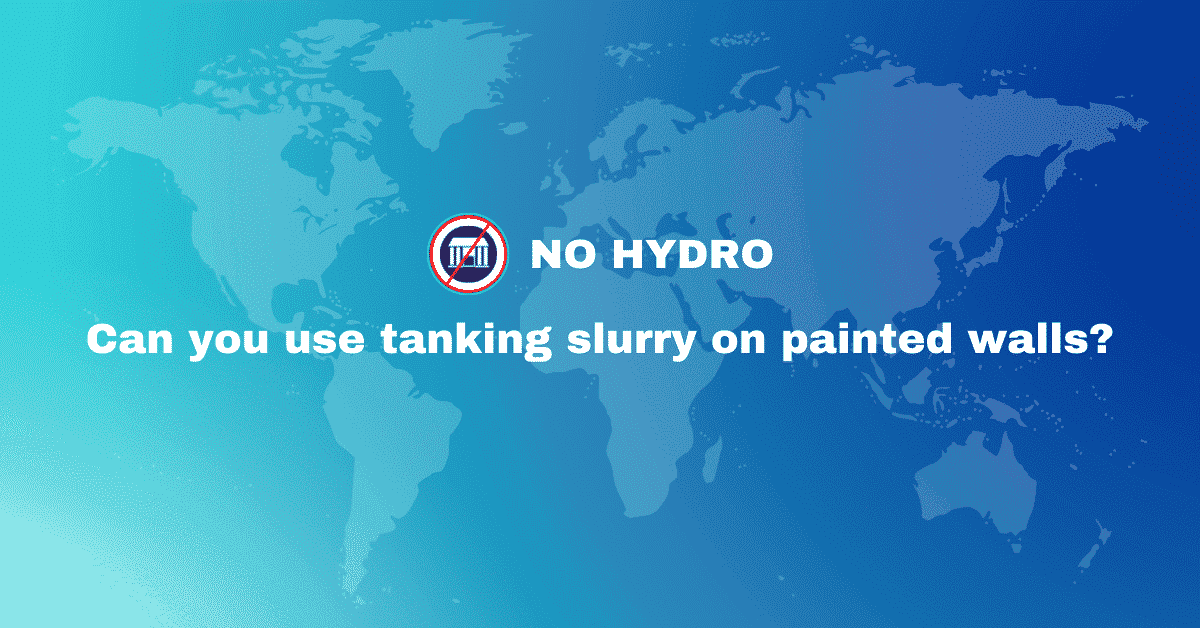 Can you use tanking slurry on painted walls - No Hydro